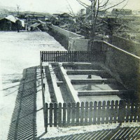 학교변천사 1955