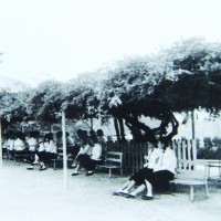 학교변천사 1972